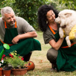 How to Make Fresh Flowers Last Longer